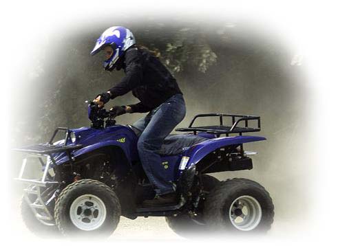  Keeway ATV 250  